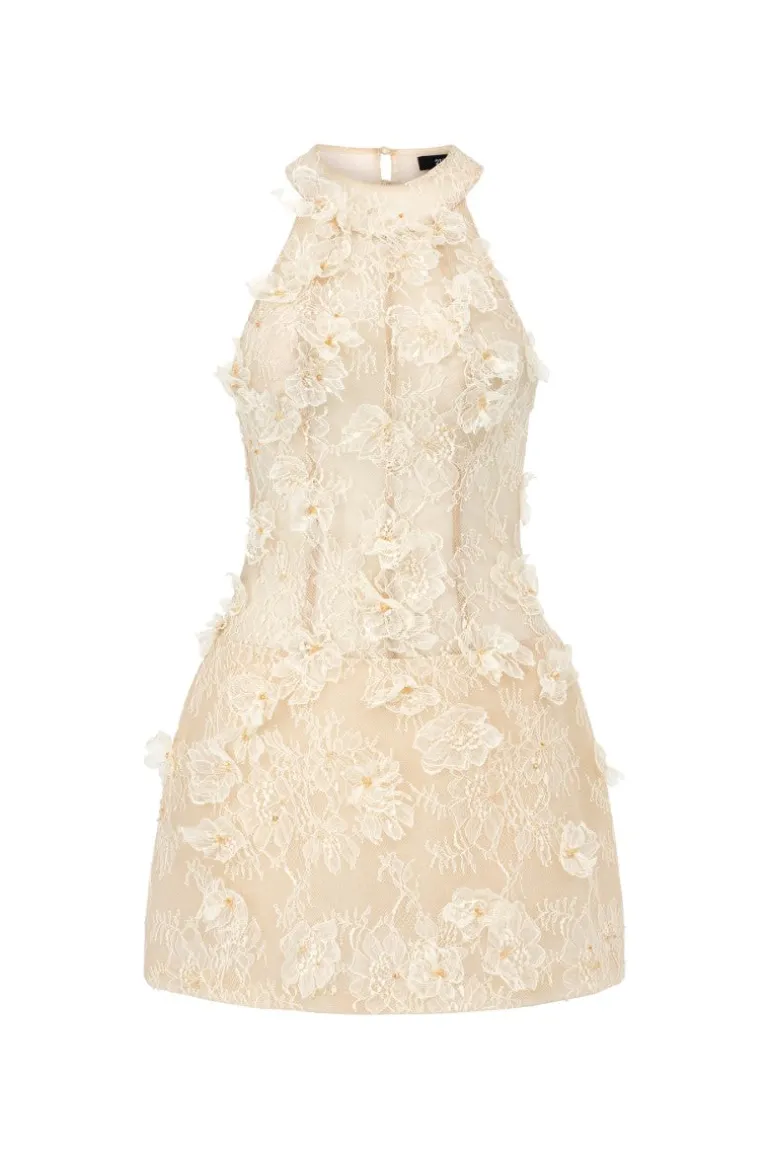 Dresses | Mini Dresses<CULT MIA AURELIA LACE DRESS IN BEIGE Beige Orange