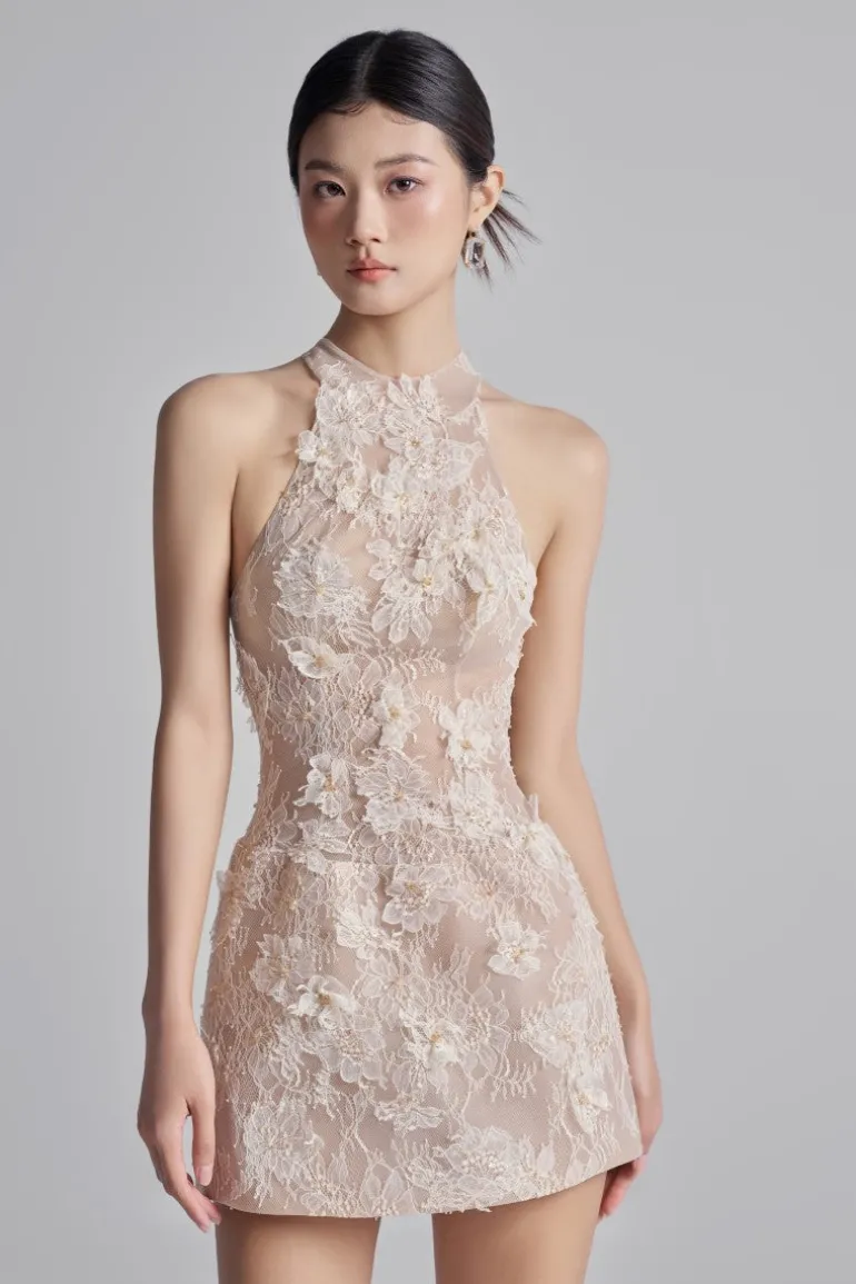 Dresses | Mini Dresses<CULT MIA AURELIA LACE DRESS IN BEIGE Beige Orange