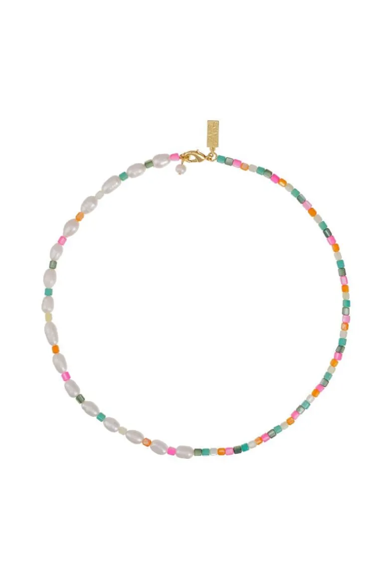Necklaces<CULT MIA CAPRI CHOCKER GOLD SHELL NECKLACE Multicolor