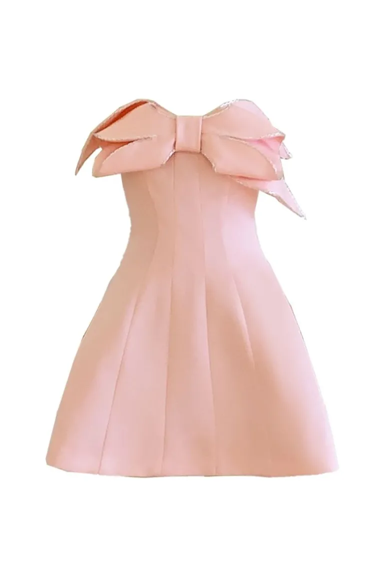 Dresses | Mini Dresses<CULT MIA CLAYTON A-LINE PLEATED CHEST ORGANDY MINI DRESS Pink