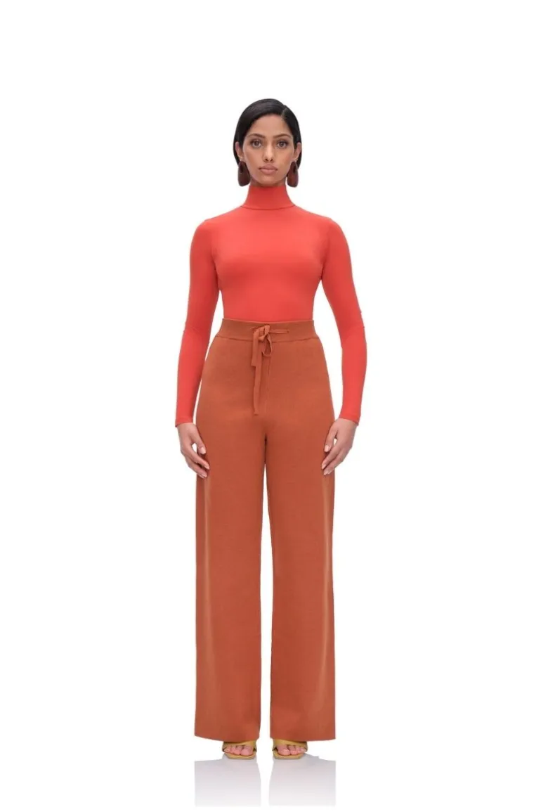Tops<CULT MIA COLLO TURTLENECK MESH BODYSUIT IN PUMPKIN