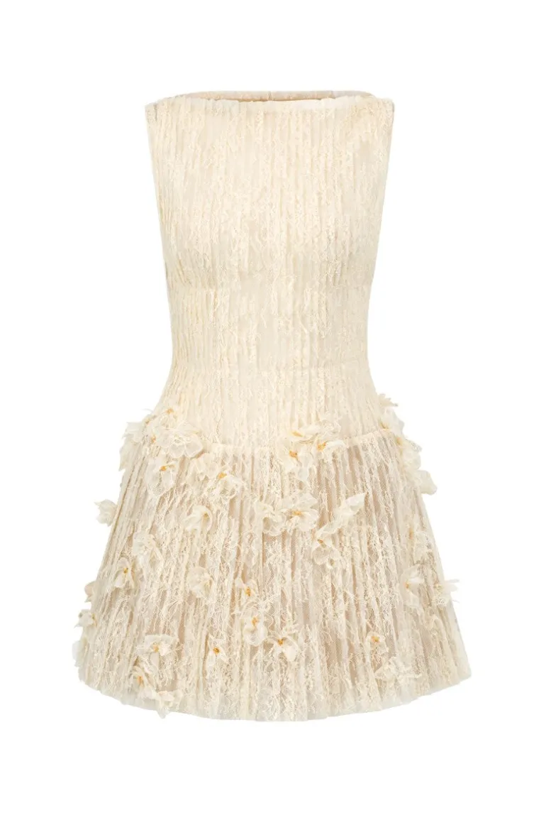 Dresses | Mini Dresses<CULT MIA FLAVIA LACE DRESS IN Beige